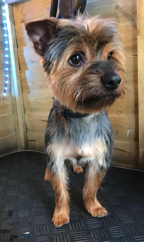 Rehome